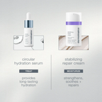 DL Xmas - Home for the Holidays Kit